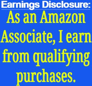 Amazon Earnings Disclosure